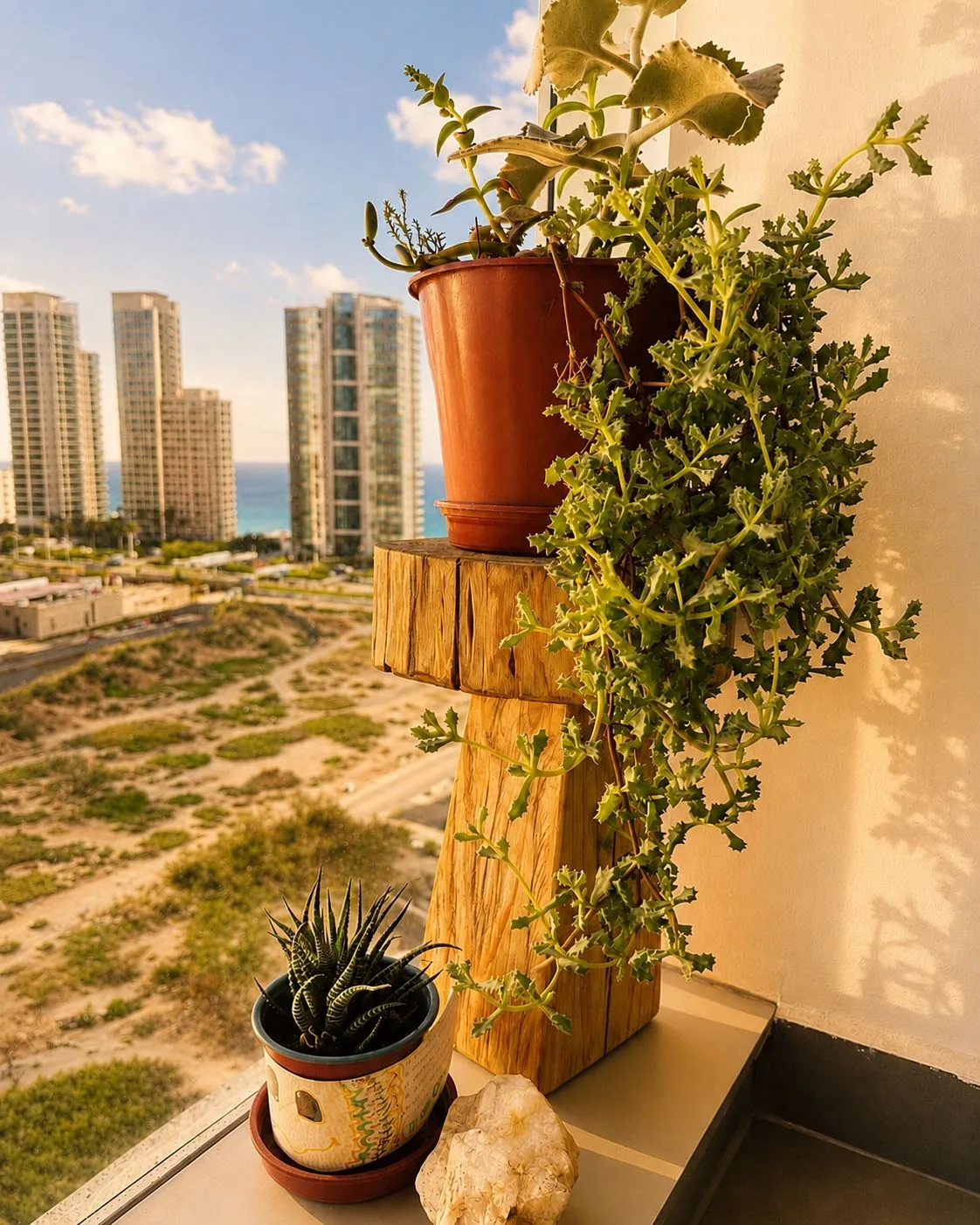 Rincón con plantas y vista al mar en la consulta de Paula Cabrera, Edificio SOHO Concón