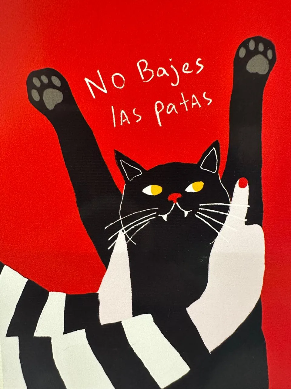Arte creativo con gato - No bajes las patas