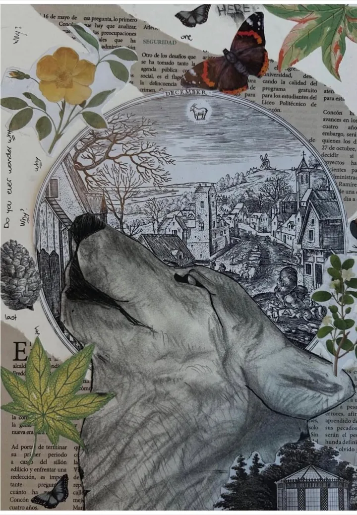 Collage artístico con elementos naturales